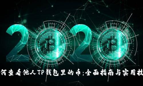 如何查看他人TP钱包里的币：全面指南与实用技巧