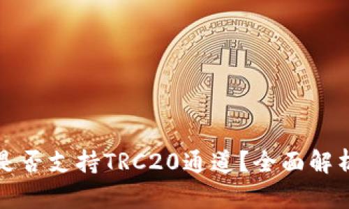 TP钱包是否支持TRC20通道？全面解析与指南