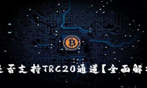 TP钱包是否支持TRC20通道？全面解析与指南