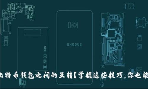 如何轻松实现比特币钱包之间的互转？掌握这些技巧，你也能成为币圈达人！