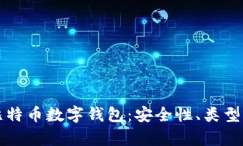 全面解析比特币数字钱包：安全性、类型及使用指南