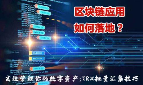   
高效管理你的数字资产：TRX批量汇集技巧