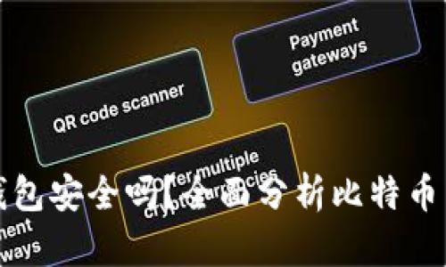 比特币转入钱包安全吗？全面分析比特币转移的安全性