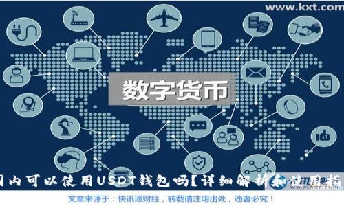 国内可以使用USDT钱包吗？详细解析和使用指南