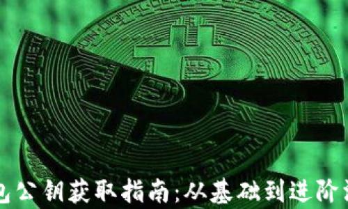 
  TP钱包公钥获取指南：从基础到进阶深度解析