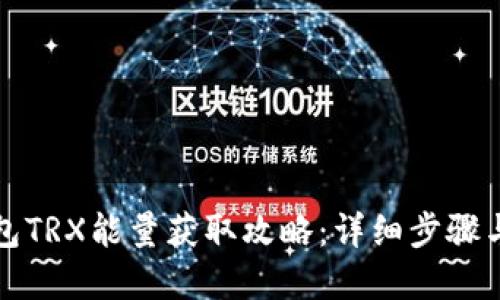 比特派钱包TRX能量获取攻略：详细步骤与实用技巧