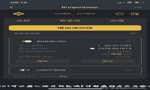  USDT可以存入硬件钱包吗？详解存储方式与安全性