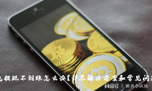 TP钱包提现不到账怎么办？详尽解决方案和常见问题解析