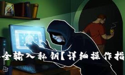 tp钱包如何安全输入私钥？详细操作指南与注意事项