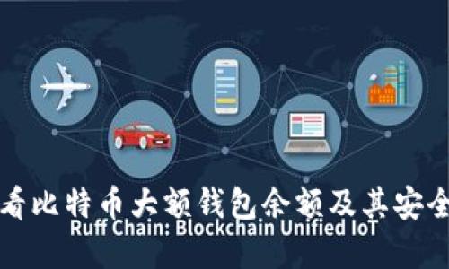 如何查看比特币大额钱包余额及其安全性分析