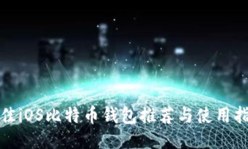 最佳iOS比特币钱包推荐与使用指南