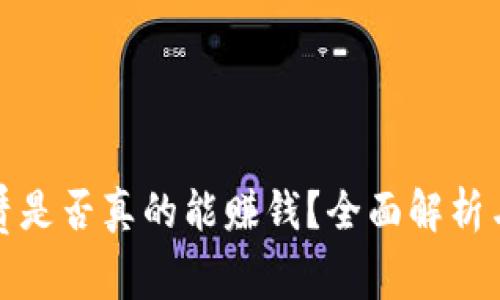 TP钱包租赁是否真的能赚钱？全面解析与投资建议