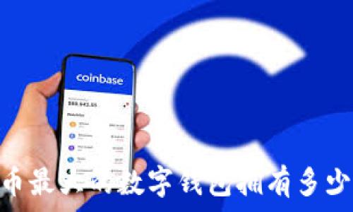   
比特币最大的数字钱包拥有多少BTC？