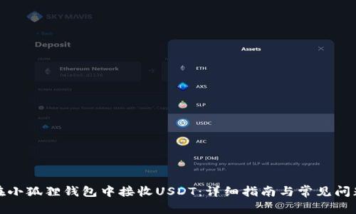 如何在小狐狸钱包中接收USDT：详细指南与常见问题解答
