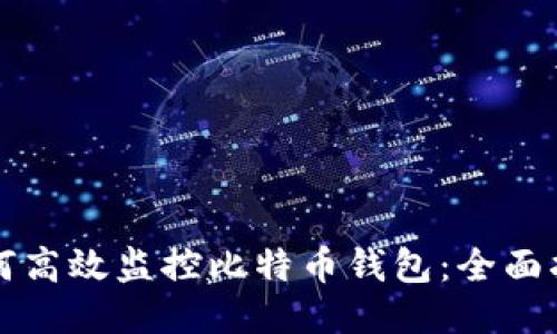 如何高效监控比特币钱包：全面指南