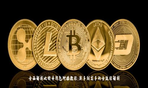 全面解析比特币钱包对接教程：新手到高手的全流程解析
