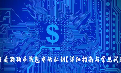 如何查看狗狗币钱包中的私钥？详细指南与常见问题解答