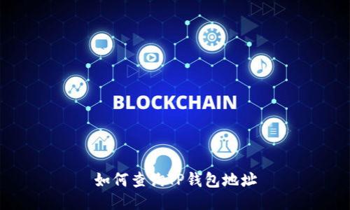 如何查询TP钱包地址