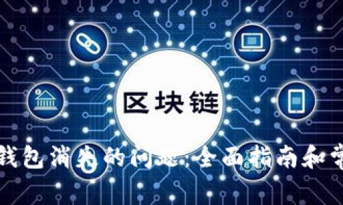 如何解决TP钱包消失的问题：全面指南和常见问题解答