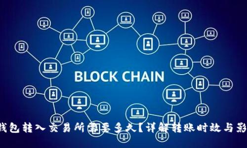  从TP钱包转入交易所需要多久？详解转账时效与影响因素