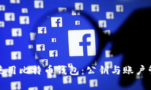 如何安全使用比特币钱包：公钥与账户管理全解析