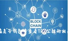 如何在麦子钱包中查看T