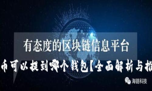 屎币可以提到哪个钱包？全面解析与推荐
