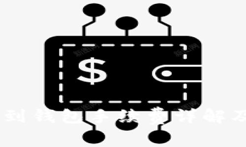 SHIB提现到钱包手续费详解及最佳实践