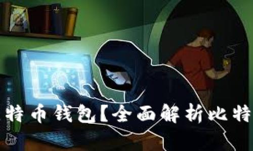 如何选择合适的比特币钱包？全面解析比特币钱包类型及推荐