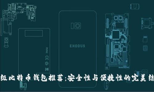 顶级比特币钱包推荐：安全性与便捷性的完美结合