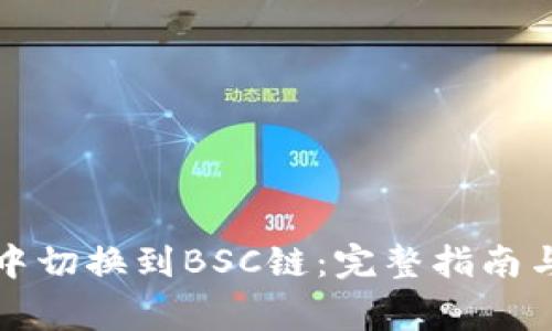 如何在TP钱包中切换到BSC链：完整指南与常见问题解答
