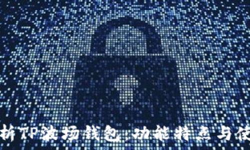   
全面分析TP波场钱包：功能特点与使用指南