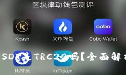 TP钱包中的USDT是TRC20吗？全面解析与使用指南