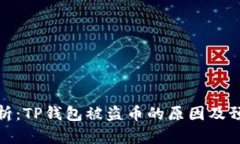 深入解析：TP钱包被盗币的