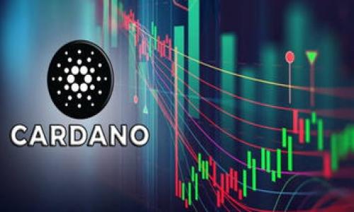 

USDT虚拟钱包提现指南：一步一步教你安全提现