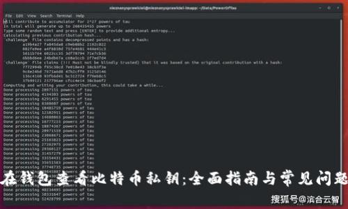 如何在钱包查看比特币私钥：全面指南与常见问题解答