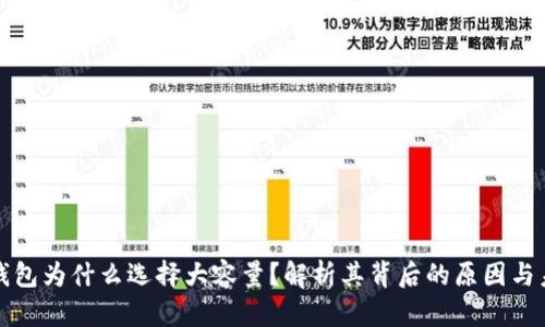 比特币钱包为什么选择大容量？解析其背后的原因与未来趋势