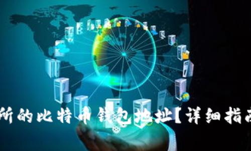 如何查询ZT交易所的比特币钱包地址？详细指南与常见问题解答