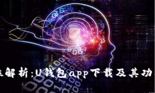 全方位解析：U钱包app下载及其功能详解