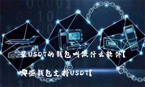 装USDT的钱包叫做什么软件？

哪些钱包支持USDT？