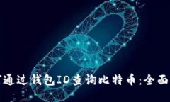 如何通过钱包ID查询比特币：全面指南