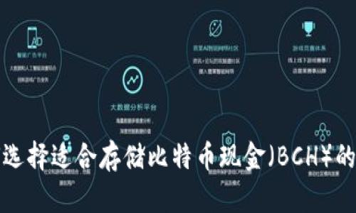 如何选择适合存储比特币现金（BCH）的钱包