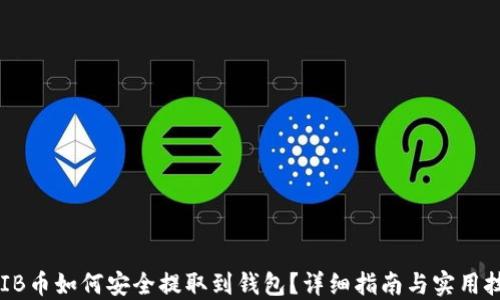 
SHIB币如何安全提取到钱包？详细指南与实用技巧