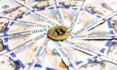 题目：OP钱包借钱平台评测