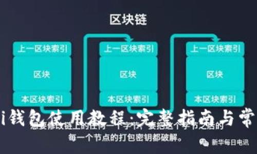 USDT Omni钱包使用教程：完整指南与常见问题解析