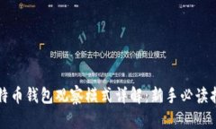 比特币钱包观察模式详解