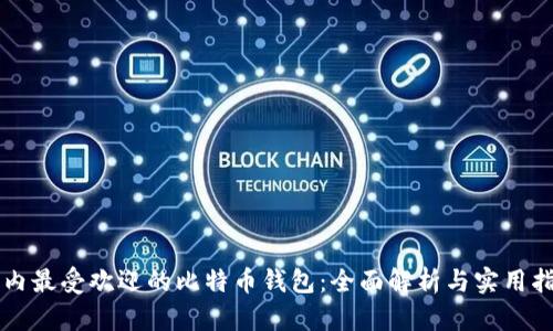 国内最受欢迎的比特币钱包：全面解析与实用指南