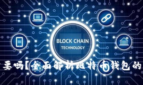 比特币钱包需要吗？全面解析比特币钱包的必要性与选择