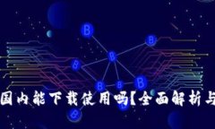 TP钱包在国内能下载使用吗？全面解析与使用指南