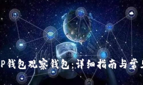 如何下载TP钱包观察钱包：详细指南与常见问题解答